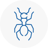 Ant Removals In Holme
