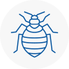Bed Bug Extermination In Holme