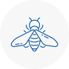 Bee Nest Removal Holme