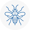 Holme Hornet Nest Removals