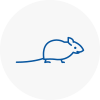 Mice Exterminators In Holme