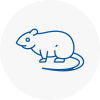 Rat Control Holme