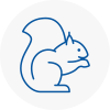 Holme Rodent Removals