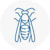 Holme Wasp Nest Removal